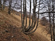 56 La croce del Pizzo Grande a pochi passi  